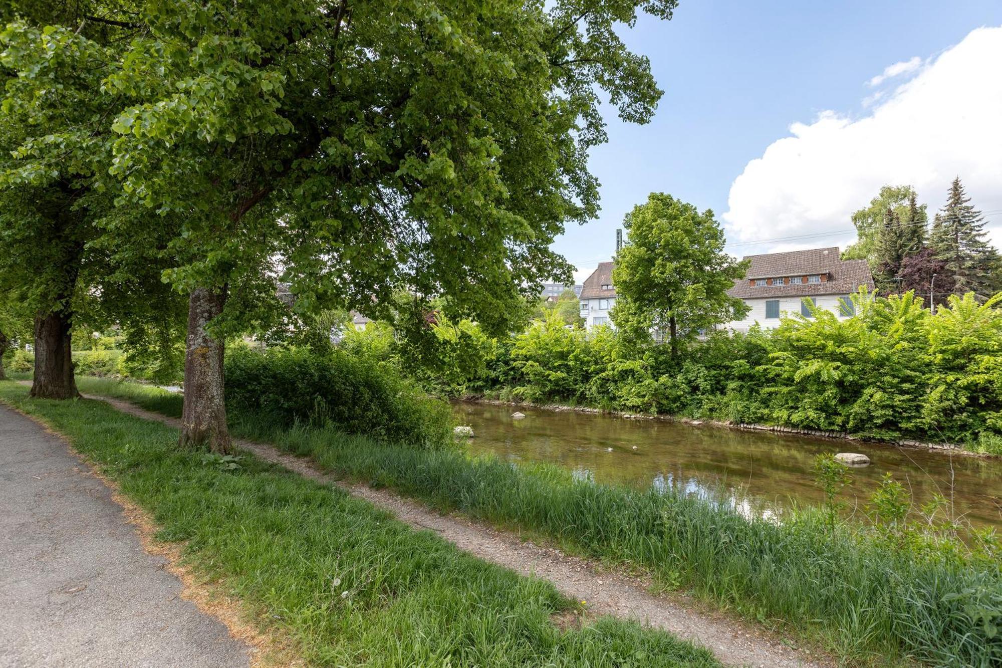 Ferienwohnung An Der Brigach Донауэшинген Экстерьер фото